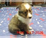 Image preview for Ad Listing. Nickname: Matt
