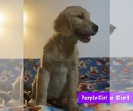 Image preview for Ad Listing. Nickname: Purple Girl