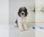 Image preview for Ad Listing. Nickname: Christian