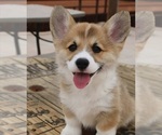 Image preview for Ad Listing. Nickname: Rayland