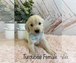 Image preview for Ad Listing. Nickname: TurquoiseFemale