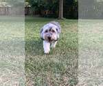 Small #10 Mutt
