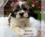 Image preview for Ad Listing. Nickname: Litter of 4