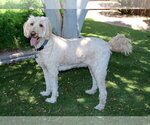 Small #1 Breeder Profile image