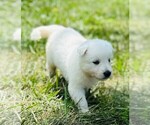 Image preview for Ad Listing. Nickname: Ayla