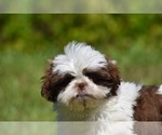 Image preview for Ad Listing. Nickname: Bread Pudding