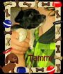 Small Photo #26 Border Collie-Pembroke Welsh Corgi Mix Puppy For Sale in ORCHARD, CO, USA