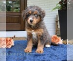 Image preview for Ad Listing. Nickname: Kenzie