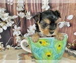 Image preview for Ad Listing. Nickname: Lil Prue
