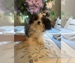 Image preview for Ad Listing. Nickname: Princess