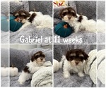 Image preview for Ad Listing. Nickname: Gabriel