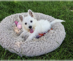 Image preview for Ad Listing. Nickname: Bonnie