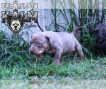 Image preview for Ad Listing. Nickname: Black