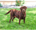 Image preview for Ad Listing. Nickname: Reba
