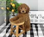 Image preview for Ad Listing. Nickname: Greyson