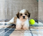 Small #1 Mal-Shi
