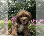 Image preview for Ad Listing. Nickname: Jenny