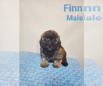 Image preview for Ad Listing. Nickname: Finn