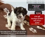 Image preview for Ad Listing. Nickname: Kelly