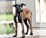 Image preview for Ad Listing. Nickname: Green Collar