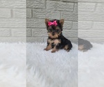 Image preview for Ad Listing. Nickname: Tiny Lilly