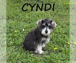 Image preview for Ad Listing. Nickname: Cyndi