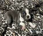 Image preview for Ad Listing. Nickname: Fiona