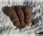  - Photo #2