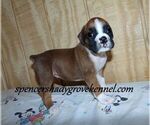 Image preview for Ad Listing. Nickname: males females