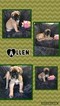Small Photo #1 Mastiff Puppy For Sale in HEATH, OH, USA