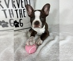 Image preview for Ad Listing. Nickname: Betty