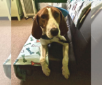 Small #1 Breeder Profile image