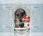 Image preview for Ad Listing. Nickname: AKC MICRO TCP B