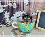 Image preview for Ad Listing. Nickname: Cozy