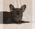 Image preview for Ad Listing. Nickname: Cody