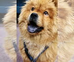 Small #2 Breeder Profile image