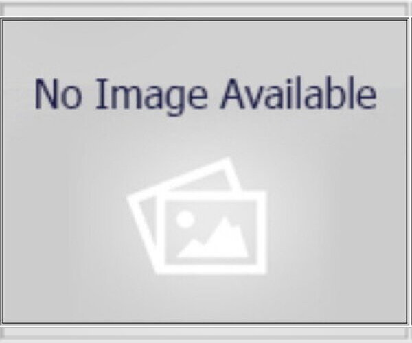 Medium Photo #1 Staffordshire Bull Terrier-Unknown Mix Puppy For Sale in Houston, TX, USA