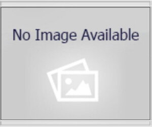 Staffordshire Bull Terrier-Unknown Mix Dogs for adoption in Houston, TX, USA