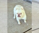 Image preview for Ad Listing. Nickname: Stax