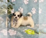 Small #3 Mal-Shi