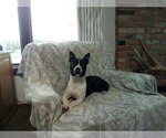 Image preview for Ad Listing. Nickname: Heidi