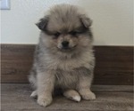 Image preview for Ad Listing. Nickname: Waltz
