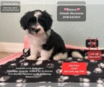 Image preview for Ad Listing. Nickname: Bianca