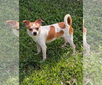 Small #1 Jack Chi
