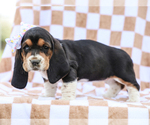 Image preview for Ad Listing. Nickname: Evelyn