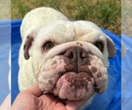 Image preview for Ad Listing. Nickname: Pinky