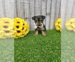 Image preview for Ad Listing. Nickname: Theo