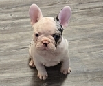 Image preview for Ad Listing. Nickname: Baby girl