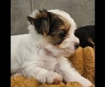 Image preview for Ad Listing. Nickname: Zena