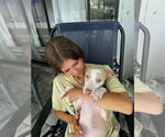 Small #15 Catahoula Leopard Dog Mix